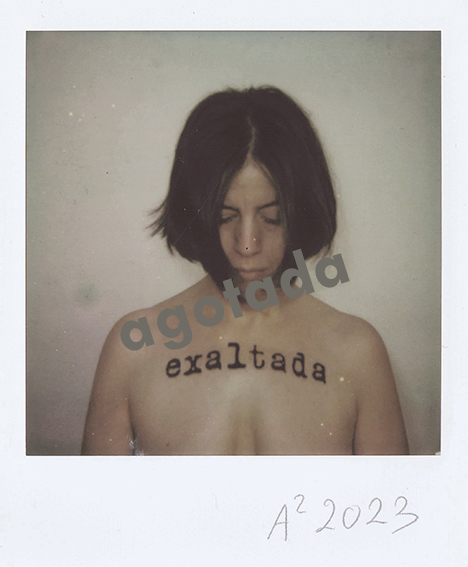 Exaltada I (Polaroid)