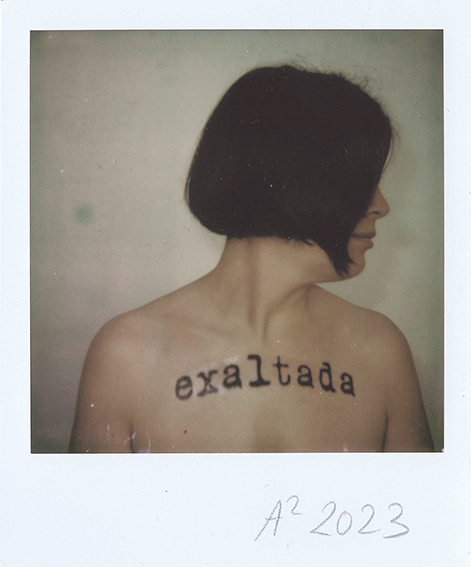 Exaltada II (Polaroid)