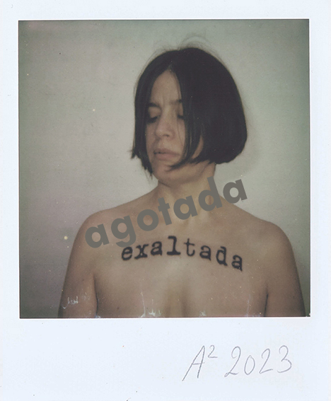 Exaltada III (Polaroid)